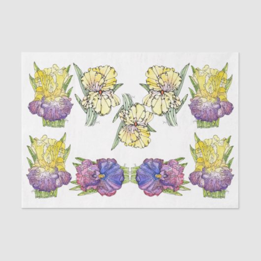 Papier Mousseline Irises Purple Yellow - Papier Tissu Découpage (Recto)