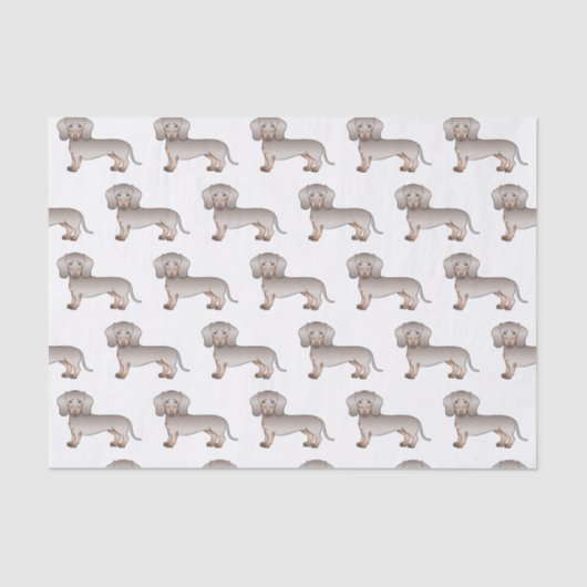 Papier Mousseline Isabella Et Tan Smooth Coat Dachshund Chien Motif (Recto)