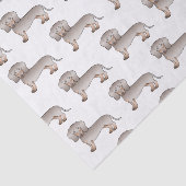 Papier Mousseline Isabella Et Tan Smooth Coat Dachshund Chien Motif (Détail)