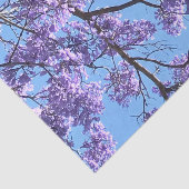 Papier Mousseline Jacaranda (Détail)