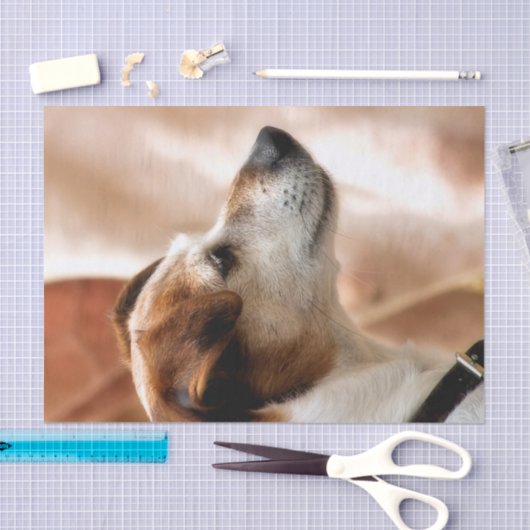 PAPIER MOUSSELINE JACK RUSSELL TERRIER CHIEN (Artisanat)