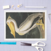 Papier Mousseline James Audubon Pelican Découpage Tissu Nautique (Artisanat)