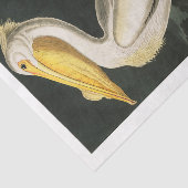 Papier Mousseline James Audubon Pelican Découpage Tissu Nautique (Détail)