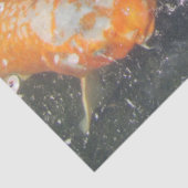 Papier Mousseline Japonais Carpe Koi Poisson Natation (Détail)