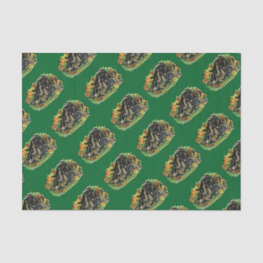 Papier Mousseline Jardin de chiots (Recto)