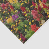 Papier Mousseline Jardin de fleurs d'été animé à Orlando en Floride (Détail)