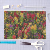 Papier Mousseline Jardin de fleurs d'été animé à Orlando en Floride (Artisanat)