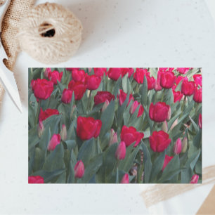 Papier Mousseline Jardin de la Tulipe Rouge Floral