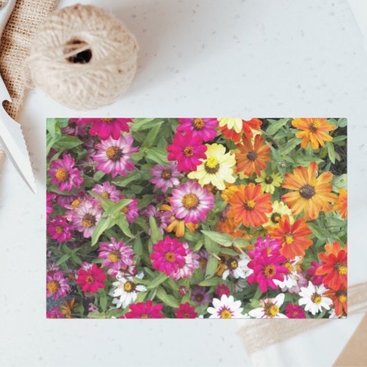 Papier Mousseline Jardin floral de Zinnia