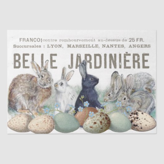 Papier Mousseline Jardin Français Lapin Oeufs Lapin Pâques Découpage (Recto)
