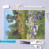 Papier Mousseline Jardin pourpre Iris (Artisanat)