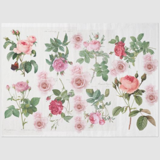 Papier Mousseline Jardin rose (Recto)