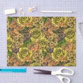 Papier Mousseline Jardin Tarantula 1 (Artisanat)