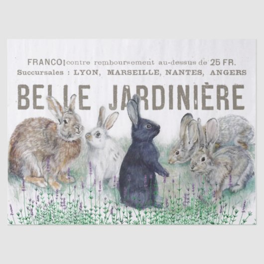 Papier Mousseline Jardin Vintage Lapin Rabbit Découpage Fleur (Recto)