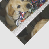 Papier Mousseline Jaune de laboratoire LR avec jouet (Détail)