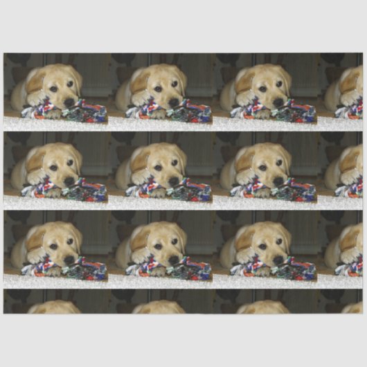 Papier Mousseline Jaune de laboratoire LR avec jouet (Recto)