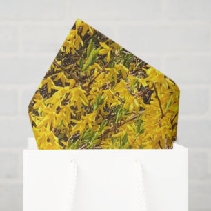 Papier Mousseline Jaune Fleurs Joyeuses Jaunes Printemps Nature Pais