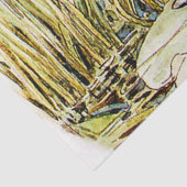 Papier Mousseline Jeremy Fisher sur un pad Lily par Beatrix Potter (Détail)