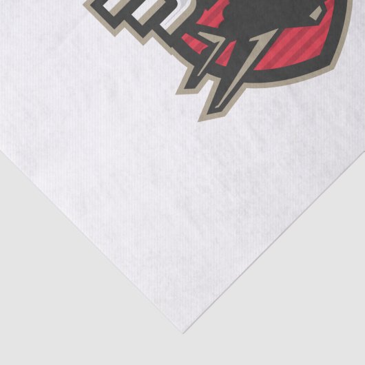 Papier Mousseline jets (Détail)