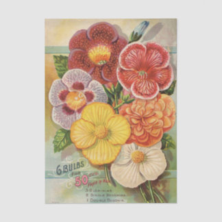 Papier Mousseline John Gardiner Vintage Flower Catalog, 1896
