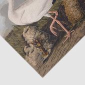 Papier Mousseline John James Audubon White Ibis Bird Print Classic (Détail)