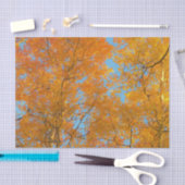 Papier Mousseline Joli Aspen Jaune Photo (Artisanat)