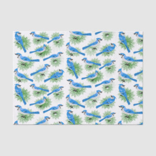 Papier Mousseline Joli Blue Jays dans les oiseaux uniques de pin