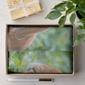 Papier Mousseline Joli Bunny (Cadeau)