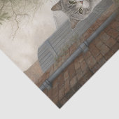 Papier Mousseline Joli chat Kitty Grey (Détail)