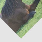 Papier Mousseline Joli Cheval Brown allongé dans l'herbe (Détail)