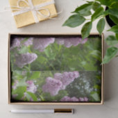 Papier Mousseline Joli Lilac Bush (Cadeau)
