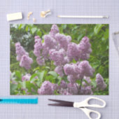 Papier Mousseline Joli Lilac Bush (Artisanat)