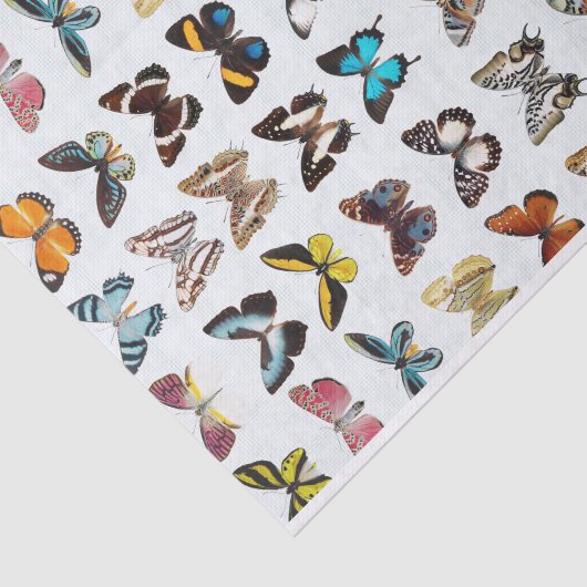 Papier Mousseline Joli Motif des papillons (Détail)
