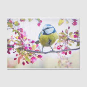 Papier Mousseline Joli oiseau bleu et jaune sur une branche Photogra