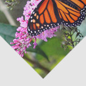 Papier Mousseline Joli papillon Monarque Photo (Détail)