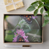 Papier Mousseline Joli papillon Monarque Photo (Cadeau)