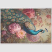 Papier Mousseline Joli Peacock (Recto)
