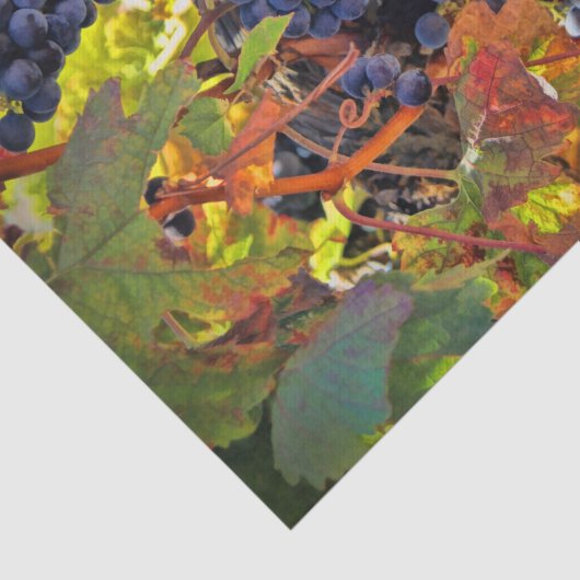 Papier Mousseline Joli Vignoble Vignoble Tissu Papier (Détail)