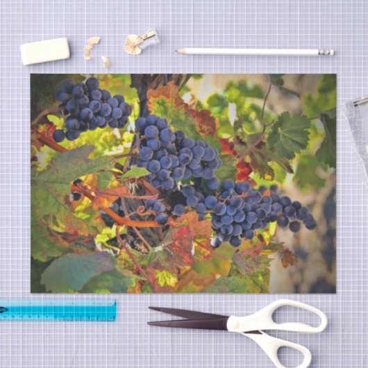 Papier Mousseline Joli Vignoble Vignoble Tissu Papier (Artisanat)