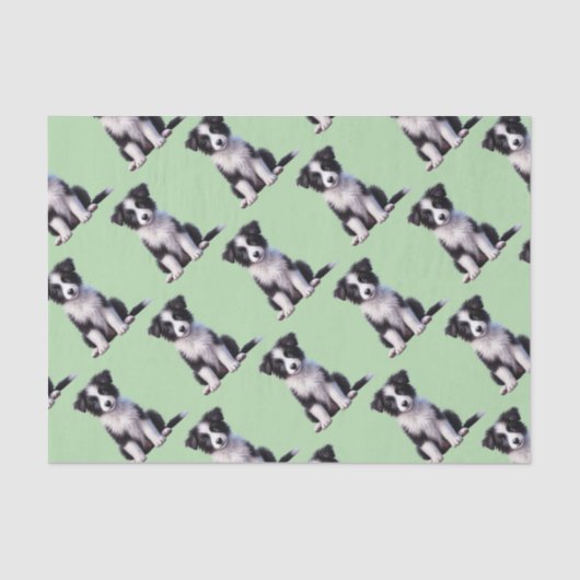 Papier Mousseline Jolie Bordure Collie Puppy (Recto)