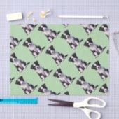 Papier Mousseline Jolie Bordure Collie Puppy (Artisanat)