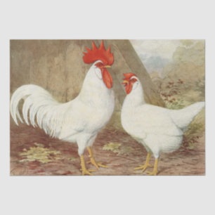 Papier Mousseline Jolie fête de poule coq vintage campagne rurale