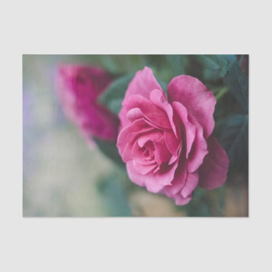 Papier Mousseline Jolie roses rose découpage (Recto)