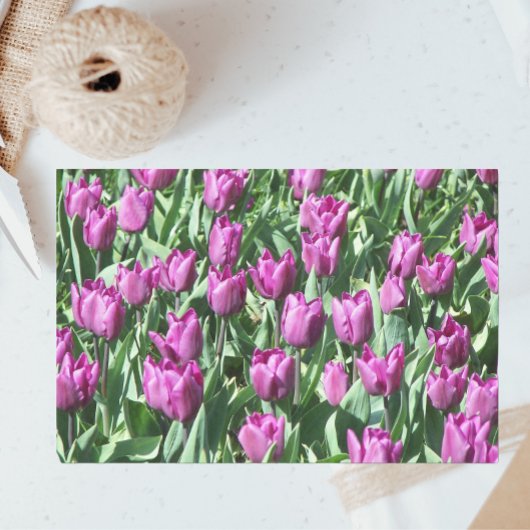 Papier Mousseline Jolie Tulipes pourpres Florale