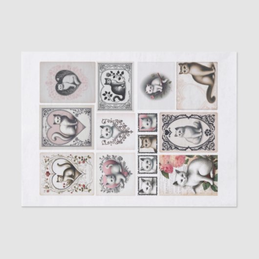 Papier Mousseline Jolies chats et coupes de coeur (Recto)