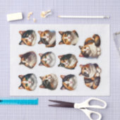 Papier Mousseline Jolies coupes de chats Calico (Artisanat)