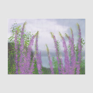 Papier Mousseline Jolies Fleurs Lupines Au Bord Du Lac