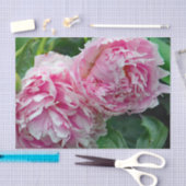 Papier Mousseline Jolies pivoines roses (Artisanat)