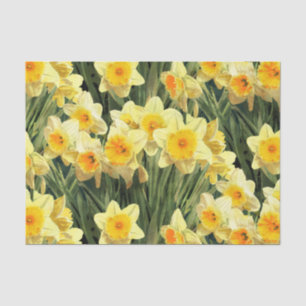 Papier Mousseline Jonquilles jaunes de ressort
