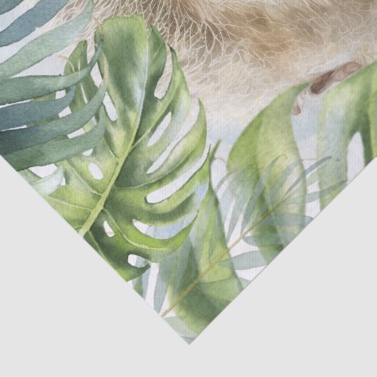Papier Mousseline Jote Sloth Tropical Jungle (Détail)